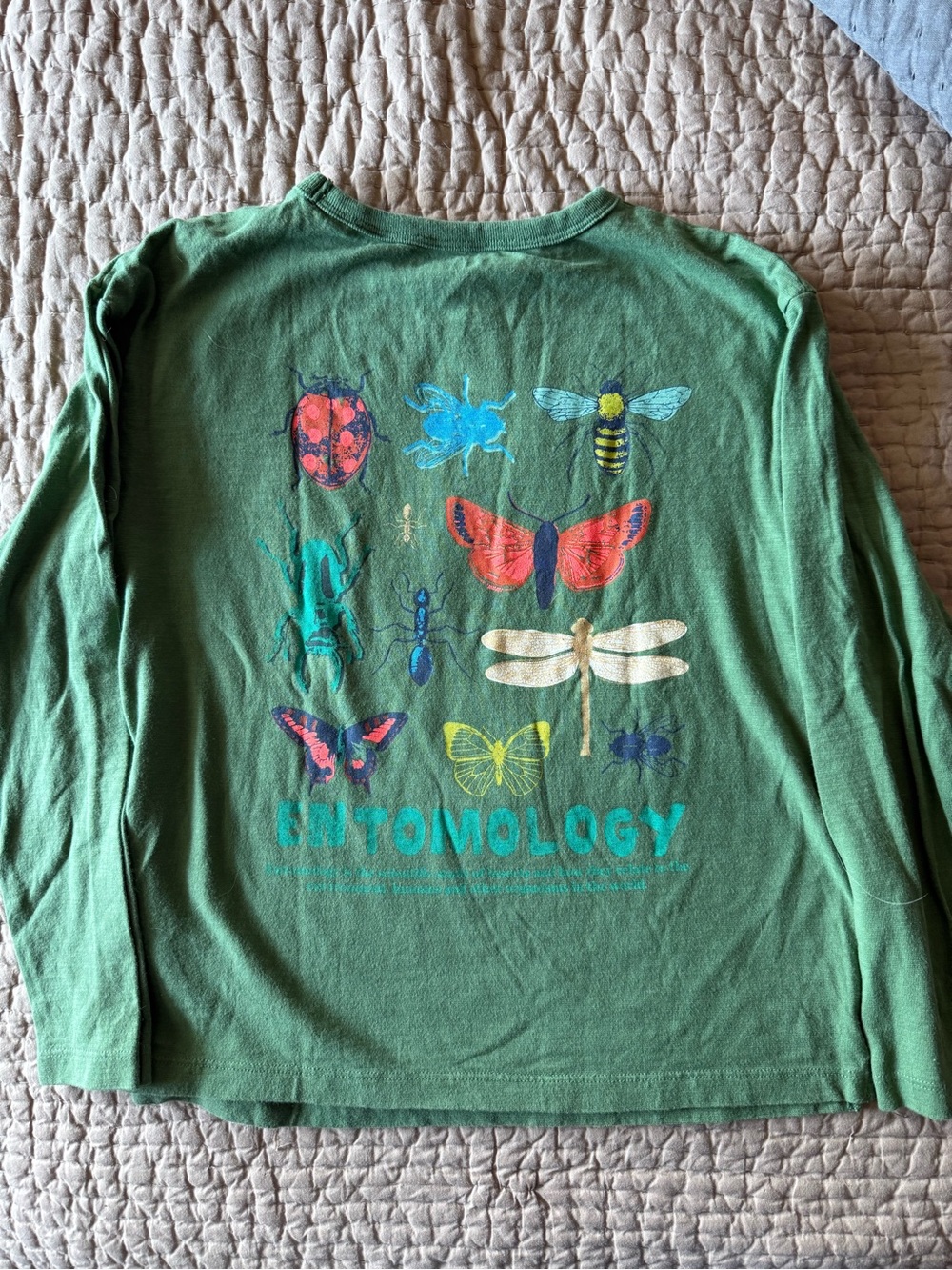 Boden Green Long Sleeve Tee with Bugs Beetle Bee Moth Ant Graphics Entomology